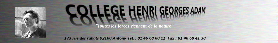 Collège Henri Georges ADAM - Antony (92)